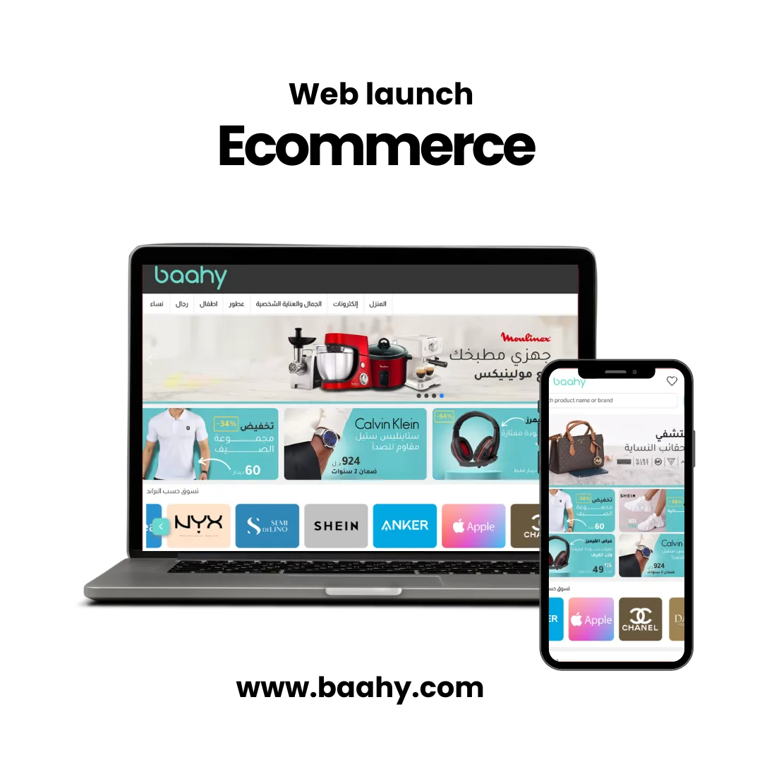 web development project for Baahy